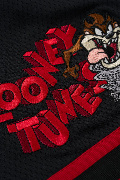 1071 - Looney Tunes Embroidered Patch Shorts