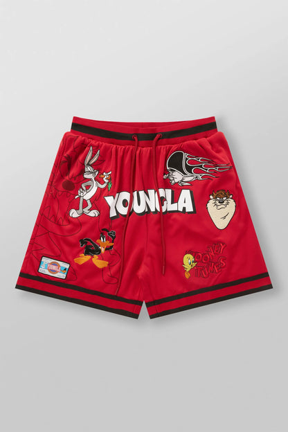 1071 - Looney Tunes Embroidered Patch Shorts