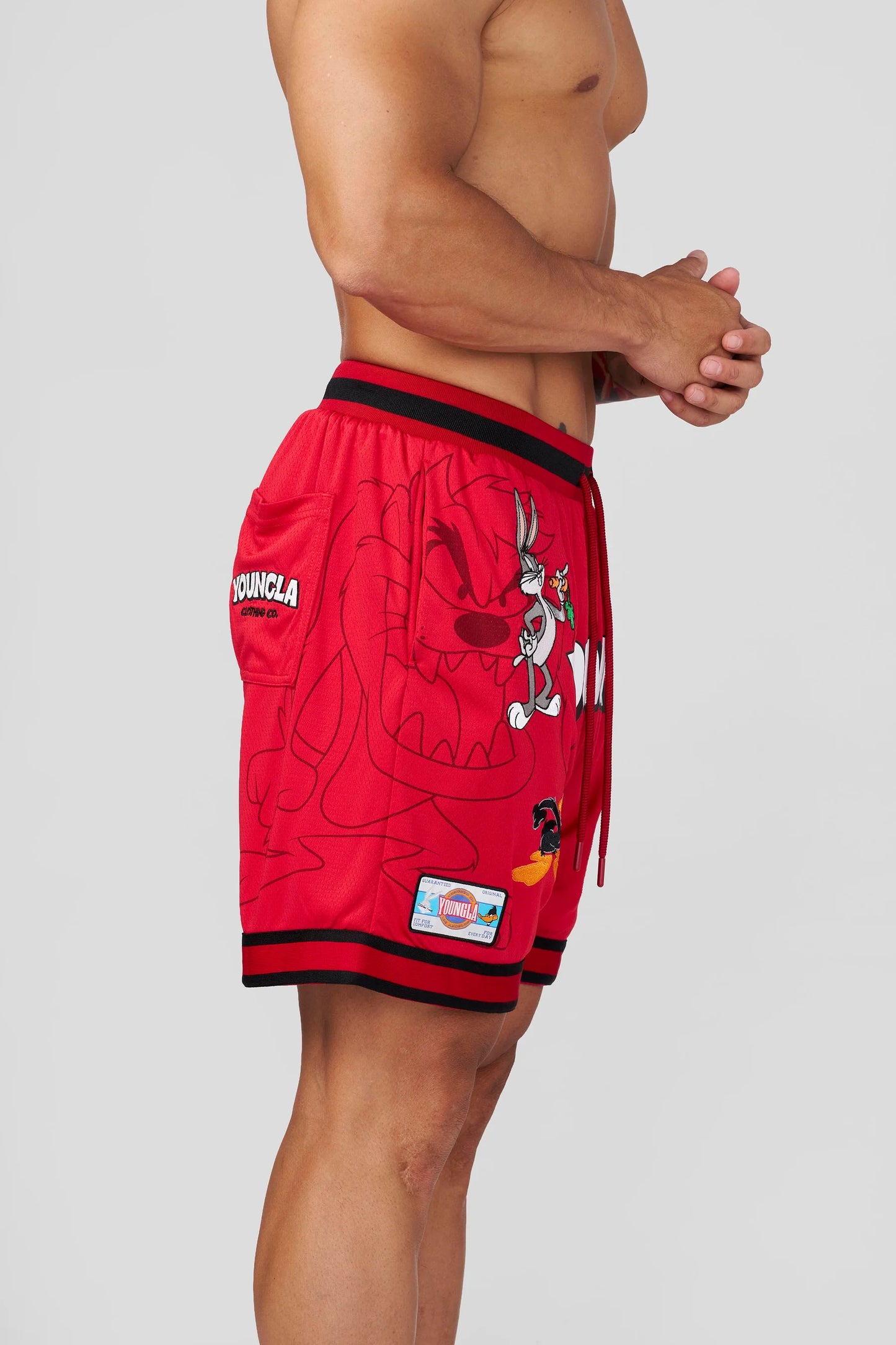 1071 - Looney Tunes Embroidered Patch Shorts