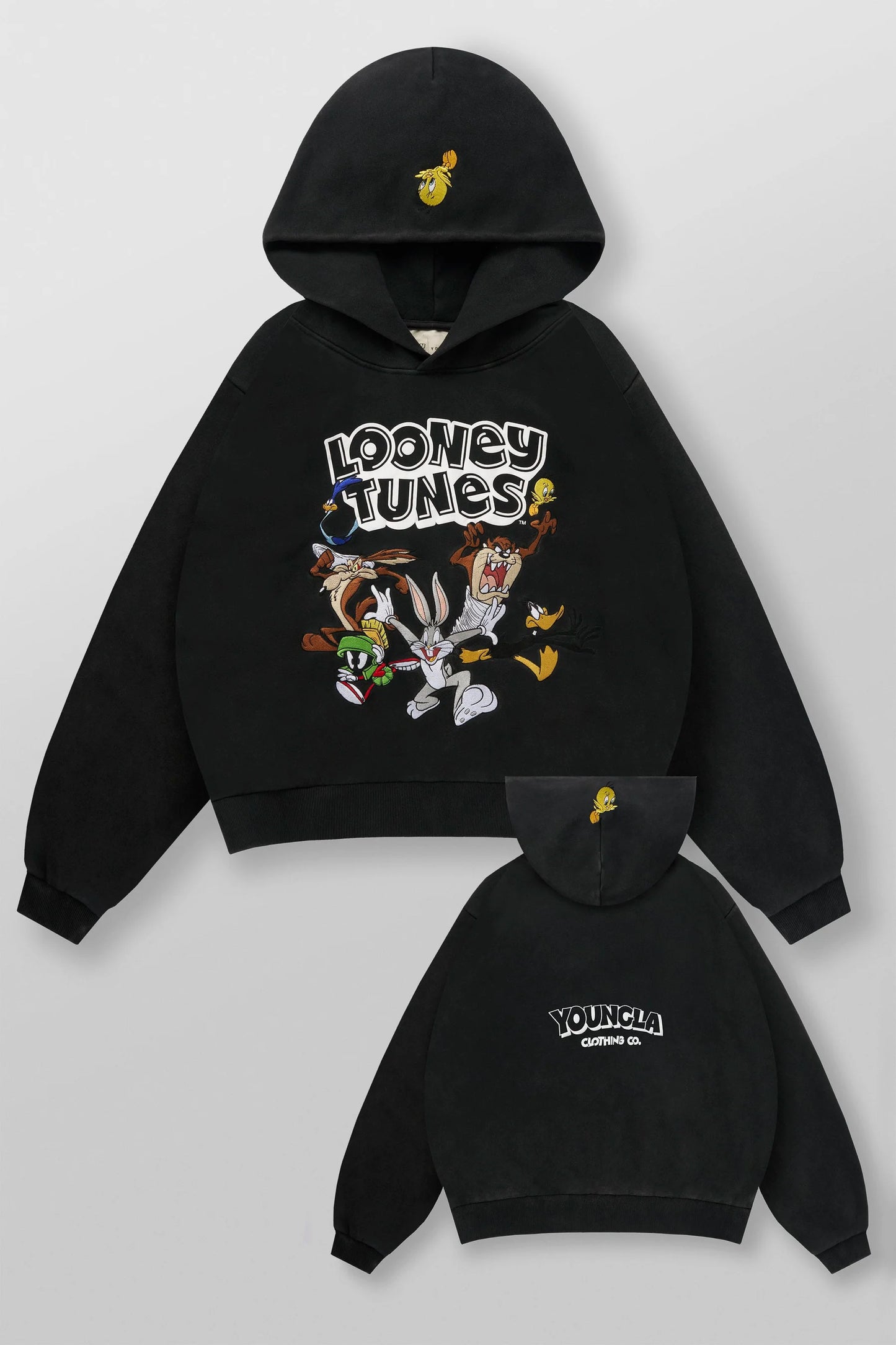 5114 - Looney Tunes Embroidered Hoodies-THE CREW
