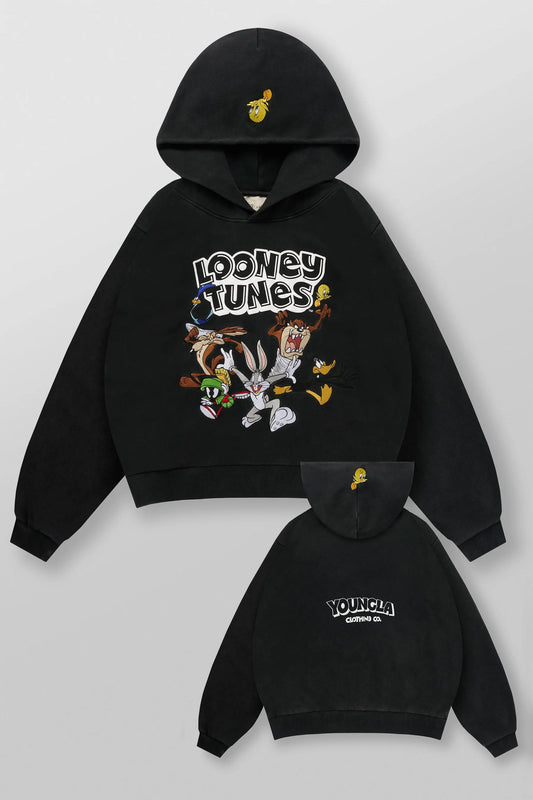 5114 - Looney Tunes Embroidered Hoodies-THE CREW