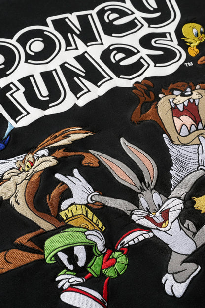 5114 - Looney Tunes Embroidered Hoodies-THE CREW