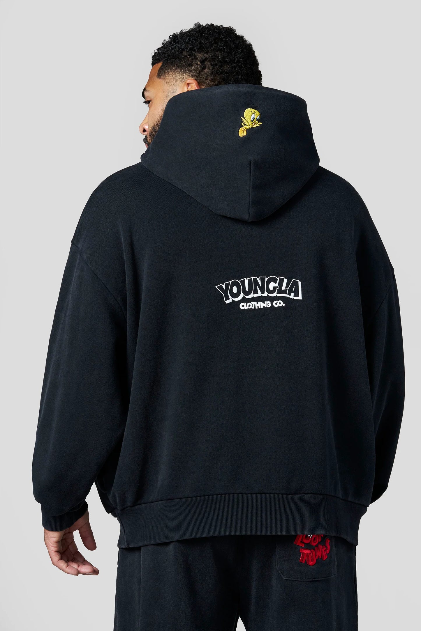 5114 - Looney Tunes Embroidered Hoodies-THE CREW
