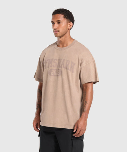 Collegiate Shadow Washed T-Shirt