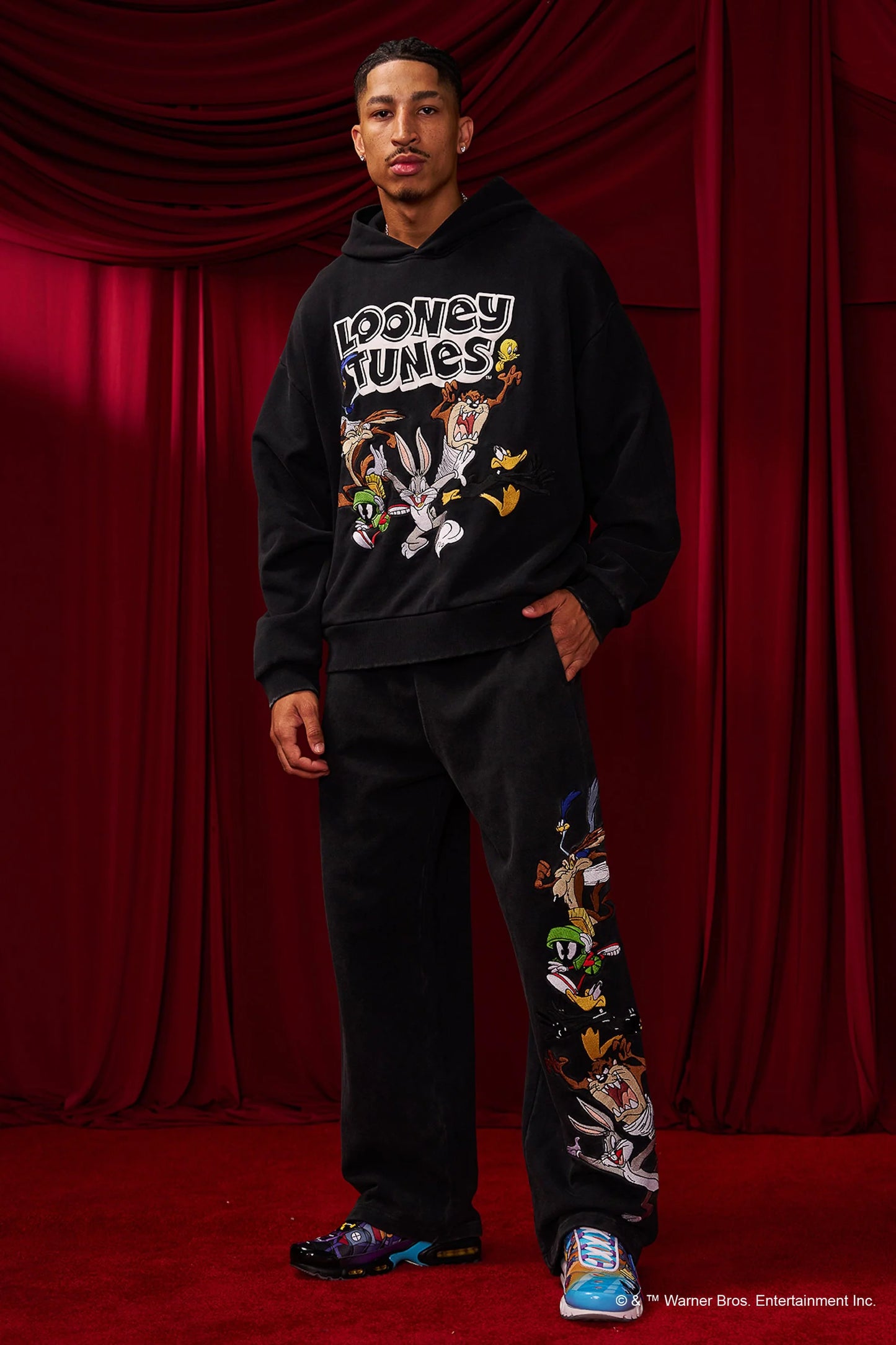 5114 - Looney Tunes Embroidered Hoodies-THE CREW