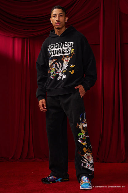 5114 - Looney Tunes Embroidered Hoodies-THE CREW